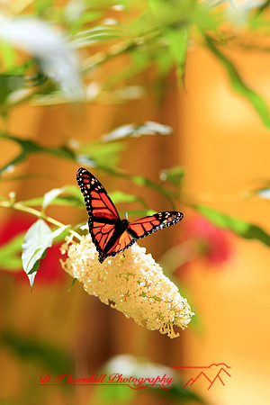 saginaw-zoo_07