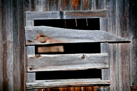 assorted_images-2007-29