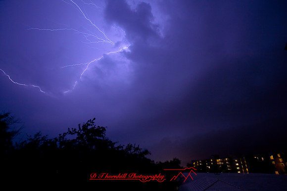 florida_images-2008_07.jpg
