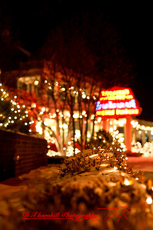 frankenmuth_dec-2010-10-nik