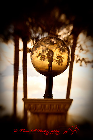 florida-2009-images_17.jpg
