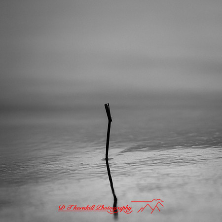 shadow-light-project-tawas-state-park-2014-004