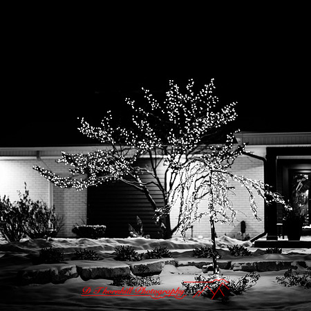 saginaw-christmas-2017-003