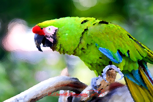 saginaw-zoo_13