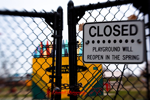assorted_images-2009_56.jpg