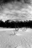 shiawassee_infrared_feb-2008_06