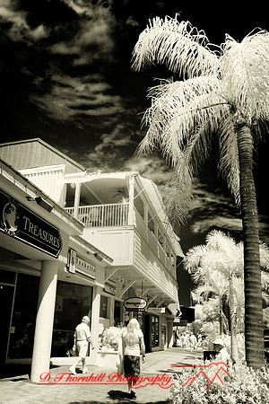 florida-2010-infrared-people_20-nik