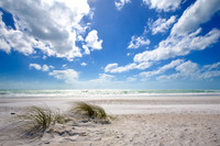 florida_images-2008_11.jpg