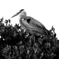 florida-march-2016-015