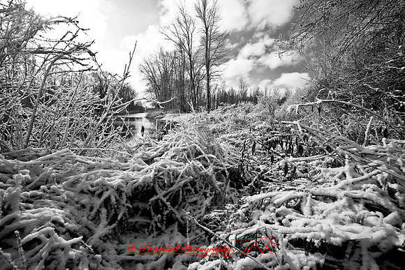 shiawassee_november_2007-03