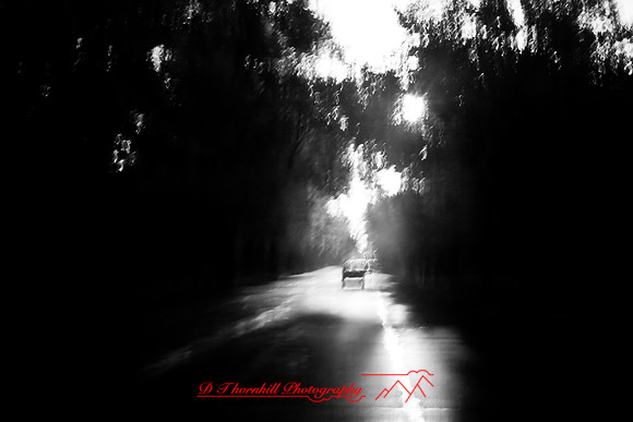 infrared-2008_151.jpg