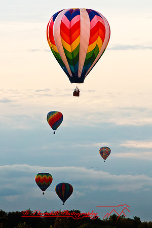 midland-balloon-2010_04
