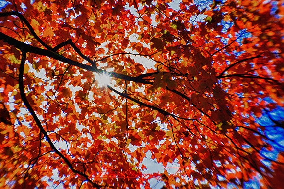 nature_images-2010_07_HDR