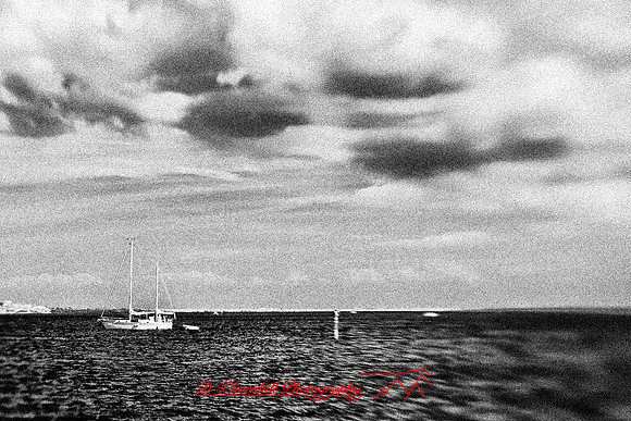florida-2009-images-infrared_25-nik.jpg