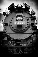 owosso_train-fest-2009_08-nik.jpg