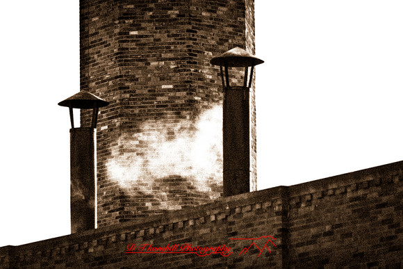 assorted_images-2012-039