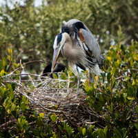 florida-2013-images-102