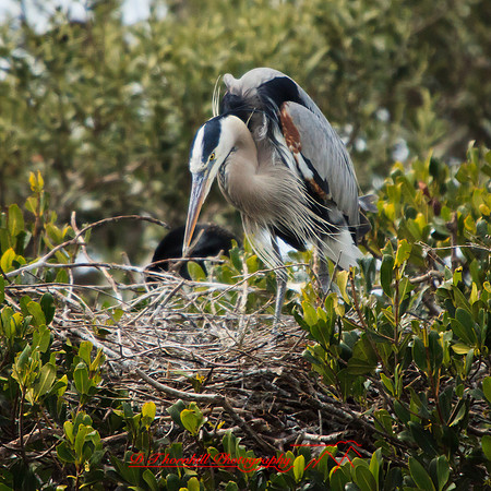 florida-2013-images-102