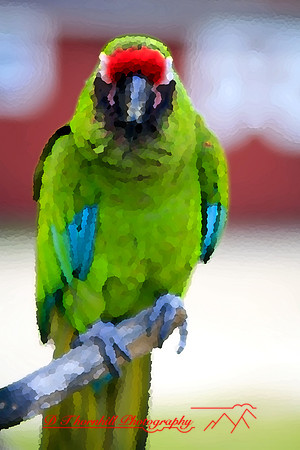 saginaw-zoo_14