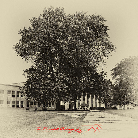 2024 - AHHS - 010-nik-ps-ai