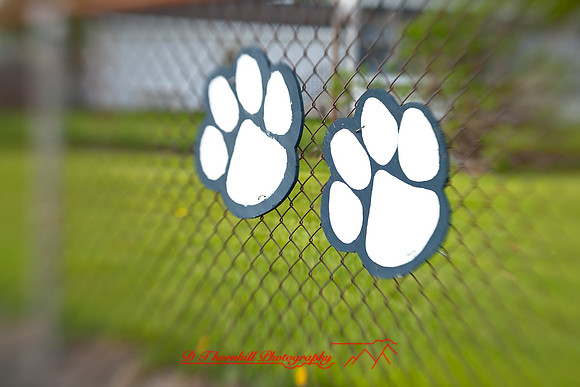 jghs-gs-western-2009_097.jpg