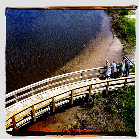 florida-2014-iphone-people-030