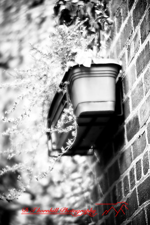 assorted_images-2007-48