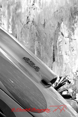 muth-car-show-infrared-2008_34