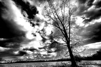 assorted_images-2011_21-01_HDR
