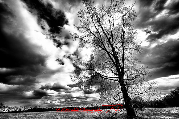 assorted_images-2011_21-01_HDR