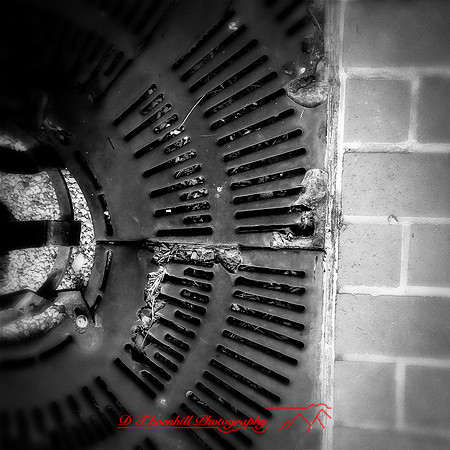 iPhones-2014-077