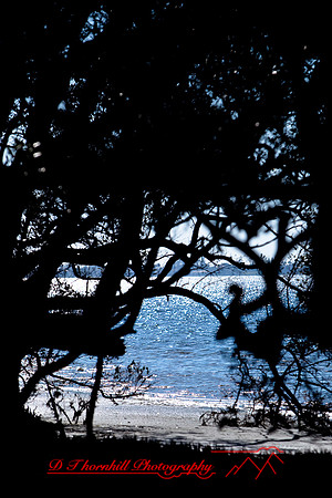 florida-2010-nature_09