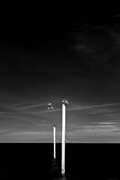 Infrared Images