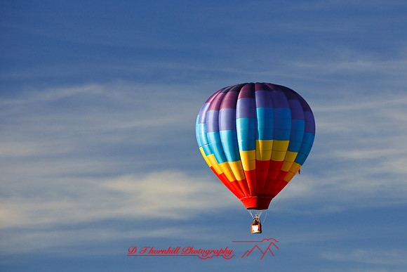 midland_balloon-2009_01.jpg