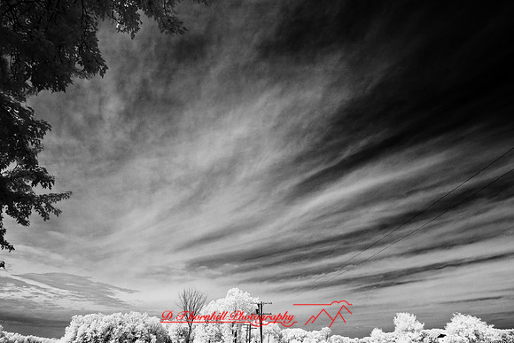 infrared-2008_096