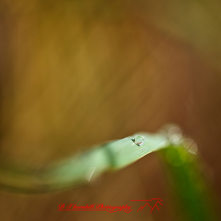 shaiawasses-april-2013-02