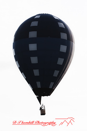 midland-balloon-2010_14