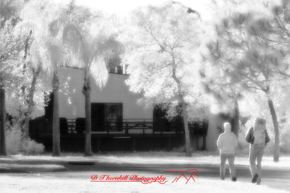 florida-2008-people-infrared_08.jpg