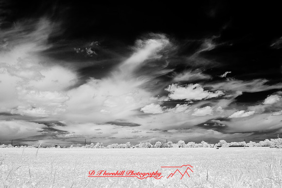 infrared-2008_084
