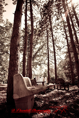 assorted_images-2007-13