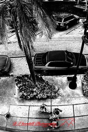 florida-2008-people-infrared_10-nik.jpg