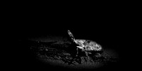 assorted images - 2022 - 007