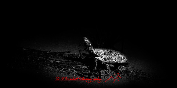 assorted images - 2022 - 007