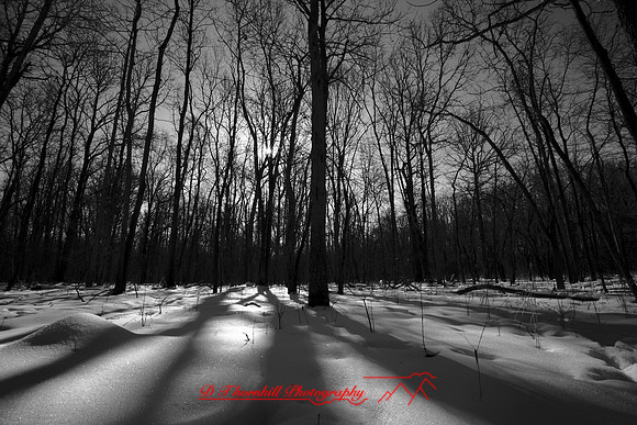 shiawassee-february-2007_009