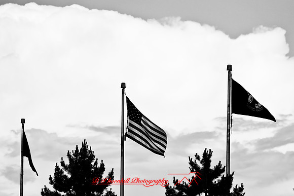 river_roar-firday-2008_03.jpg