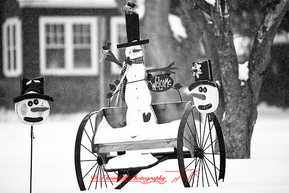 assorted_images-2009_009.jpg