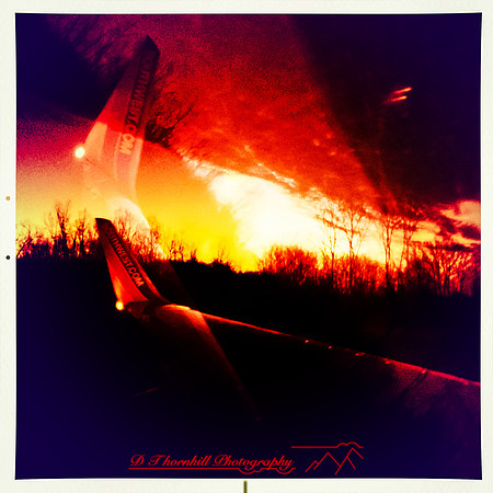 florida-march-2015-iphone-flying_down-002