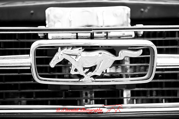 frankenmuth-auto-06_20