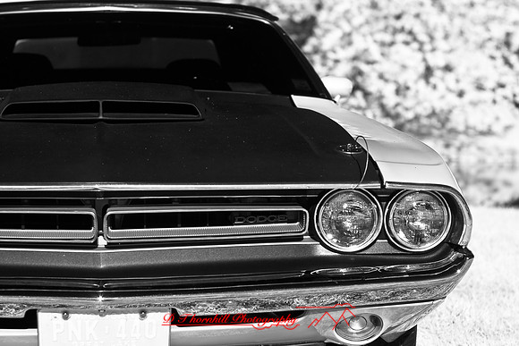 muth-car-show-infrared-2008_03