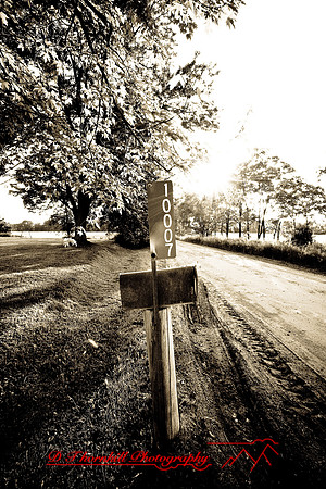 assorted_images-2007-22